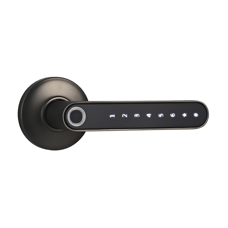 Modern keyless security door with advanced smart locking technology – Nordadecor
